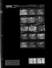 Reflector changing type size; Bowling (17 Negatives), November 1-3, 1965 [Sleeve 3, Folder b, Box 38]